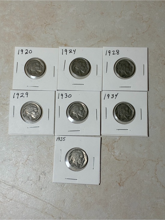 US Mint Other - Indian Head/ Buffalo Nickels lot of 7